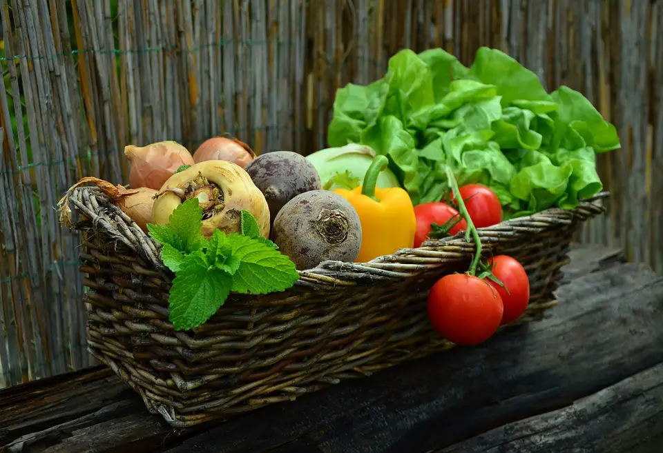Grow Your Own: A Beginnerʼs Guide to Starting a Vegetable Garden