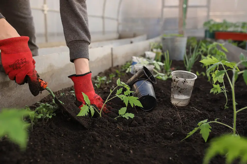 Soil Savvy: Unlocking the Secrets of Nutrient-Rich Soil for Bountiful Veggies